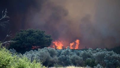 Bornova’da tarım arazisinde çıkan yangın ormana sıçradı