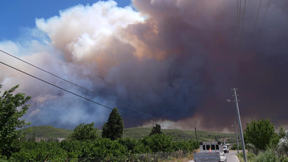 İzmir’de iki ilçeyi etkileyen orman yangını!