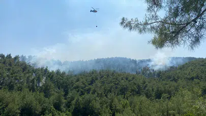Osmaniye’de orman yangını ekipler seferber oldu