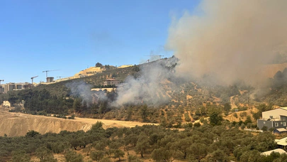Hatay Antakya’da orman yangınına müdahale sürüyor