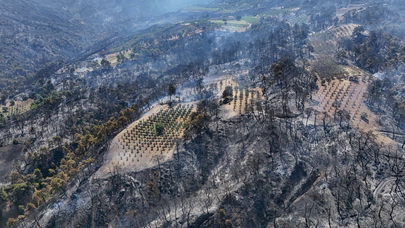 Manisa’da 3 ilçede orman yangınları büyüyor
