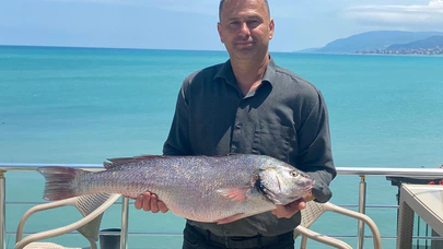 Sinop Türkeli açıklarında 6,5 kiloluk kötek balığı yakalandı