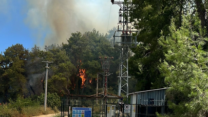 Antalya Manavgat’ta orman yangını çıktı!
