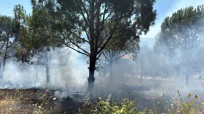 Bursa Nilüfer’deki yangın kontrol altına alındı