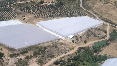 Antalya Aksu’da makilik alanda yangın paniği