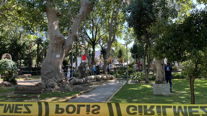 Gölcük’te ağaçtan kopan dal üç kişinin üzerine düştü