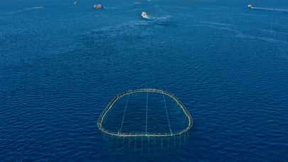 Orkinos avında Çeşme Boğazı geçişi başarıyla tamamlandı
