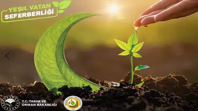 Geleceğe Nefes Fidan Bağışı Ücretli Mi? Fidan Dikimi Ne Zaman Yapılacak?