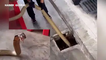 Dev Yılan Operasyonu İzlenme Rekoru Kırdı