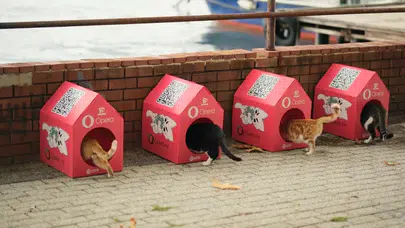 Opera Air’ı İndiren Her 10 Kullanıcı için Bir Kedi Evi!