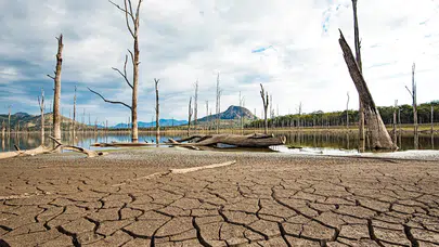 Dünyada Her Saniyede 42 Kamyon Toprak Erozyonla Kayboluyor