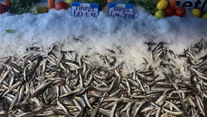Tezgahlarda Hamsi Şenliği: 4 Kilo Hamsi 200 TL!