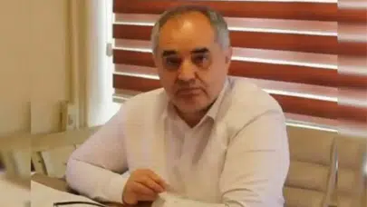 Hasan Babacan Kimdir, Ne İş Yapıyor?