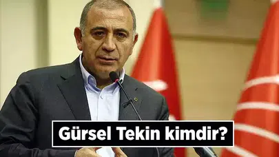 Gürsel Tekin Kimdir? Hayatı ve Siyasi Kariyeri