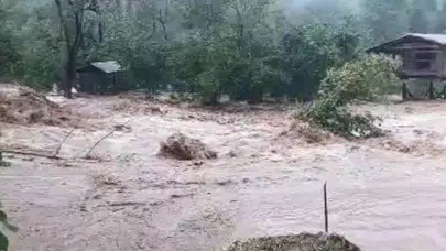 Artvin'de Sel Felaketi: Yollar Kapandı ve Tesisler Su Altında Kaldı