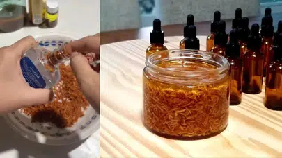 Sosyal Medyada Yeni Trend: Avokado Çekirdeğini Rendeleyip Zeytinyağıyla Tüketmek Moda Oldu