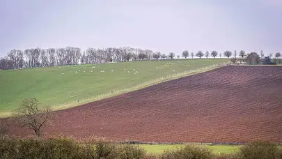 Gübre Fiyatları 2026 Yılı İtibarıyla Ne Durumda? İGSAŞ, Toros ve BAGFAŞ Fiyatları Açıklandı