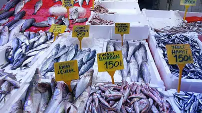 Hamsi Sezonu Sona Erdi, Balık Tezgahlarında Ne Değişti?