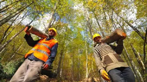 Tarım ve Orman Bakanlığı 496 Personel Alımı Yapacak! İşte Kadro Dağılımı, Başvuru Koşulları ve Süreç Detayları