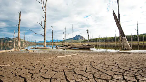 Dünyada Her Saniyede 42 Kamyon Toprak Erozyonla Kayboluyor