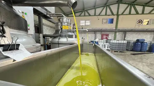 Devlet Desteği ile Zeytinyağı Fabrikası Kurarak Mahalleyi İş Sahibi Yaptı