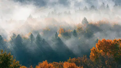 Meteoroloji'den Sis ve Pus Uyarısı