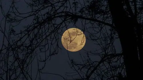 2025 Aralık Dolunayı Ne Zaman? İkizler Burcunda Gerçekleşecek Yılın Son Dolunayına Dair Her Şey