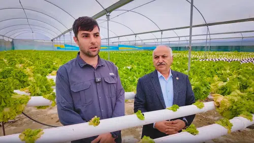 Mersin'de Üretici Krizi: Maliyetler ve Teklifler Arasında Kalan Tarım