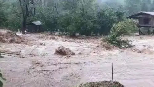 Artvin'de Sel Felaketi: Yollar Kapandı ve Tesisler Su Altında Kaldı