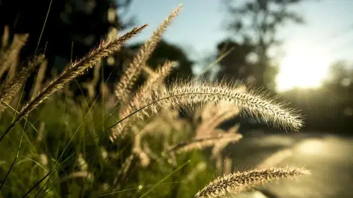 2026 Cemre Düşme Tarihleri: Bahar Geliyor! 2. Cemre Ne Zaman Düşecek?