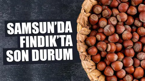 15 Şubat 2026 Pazar Fındık Fiyatları Ne Durumda? Samsun'da Fındık Fiyatları Yükseliyor Mu?