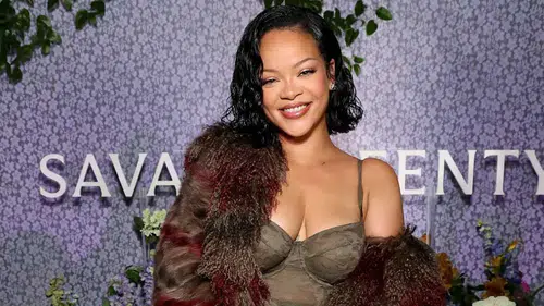 Rihanna'nın Malikanesine Saldıran Zanlıya 14 Suçlama Yöneltildi Mi?
