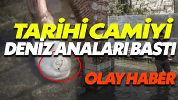 Tarihi Camiyi Deniz Anaları Bastı