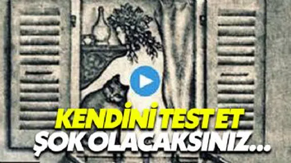 Kendini Test Et! Resimde Ne Görüyorsun?