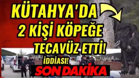 2 Kişi Köpeğe Tecavüz Etti! (İşte O İğrenç Haber)