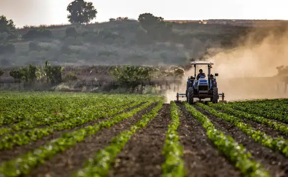 Ocak Ayında Yağışlar Artarken Tarımsal Üretimde Olumlu Gelişmeler Bekleniyor