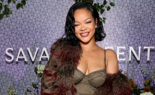 Rihanna'nın Malikanesine Saldıran Zanlıya 14 Suçlama Yöneltildi Mi?