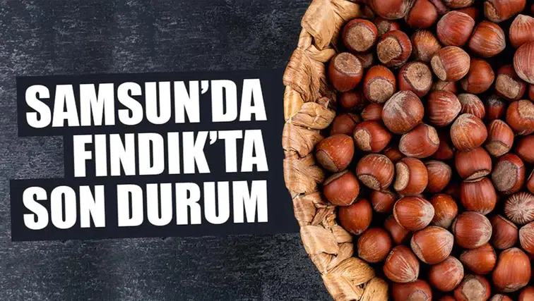 15 Şubat 2026 Pazar Fındık Fiyatları Ne Durumda? Samsun'da Fındık Fiyatları Yükseliyor Mu?