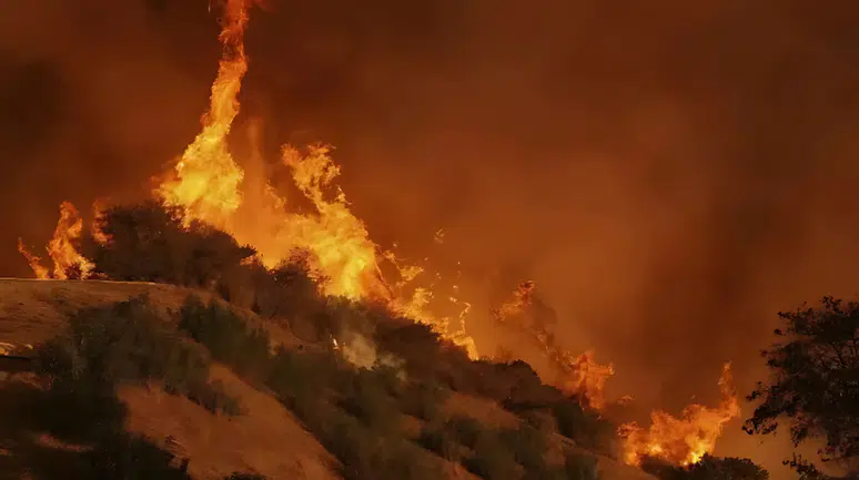 Yeni Risklere Karşı Uyarılar Artıyor