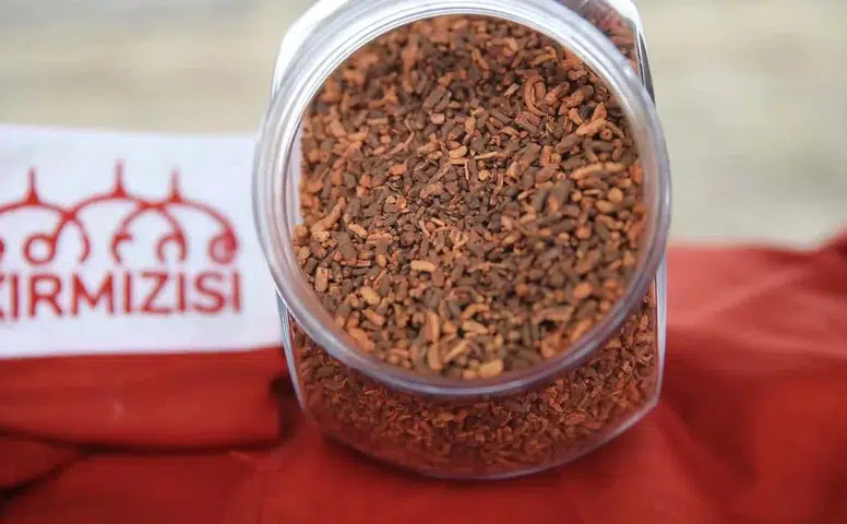 Osmanlı’nın Kayıp Rengi Geri Döndü: Çiftçinin Yeni Gelir Kapısı Oldu