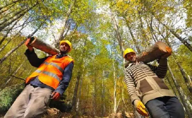 Tarım ve Orman Bakanlığı 496 Personel Alımı Yapacak! İşte Kadro Dağılımı, Başvuru Koşulları ve Süreç Detayları