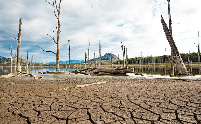 Dünyada Her Saniyede 42 Kamyon Toprak Erozyonla Kayboluyor