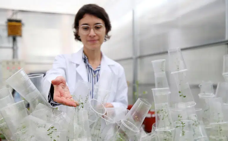 Türk Bilim Kadını Uzay Biyolojisine Önemli Katkılar Sunuyor