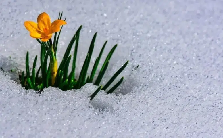 2026 Cemre Düşme Takvimi: İlk Cemre Havaya Düştü, İkinci Cemre Ne Zaman ve Nereye Düşecek?