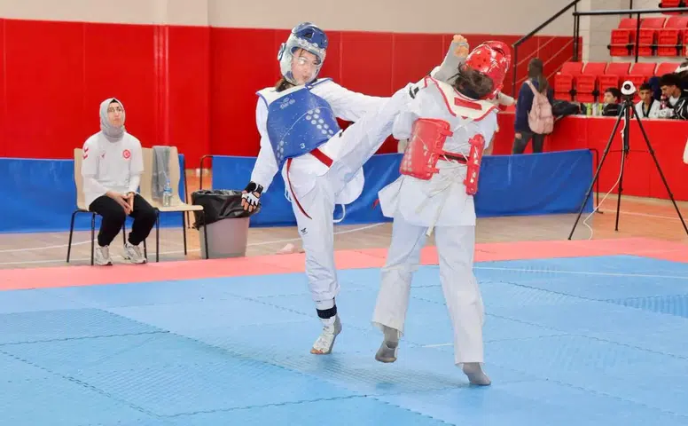 Niğde'de taekwondo yıldızlar mahalli müsabakaları başladı mı?