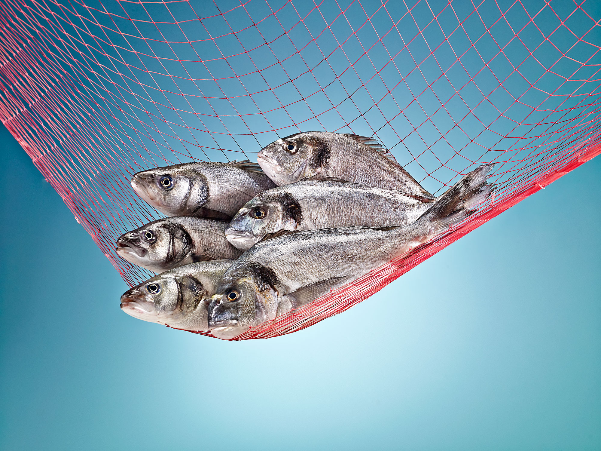 1511993580_1478939365_00069