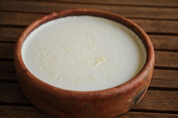 yogurt